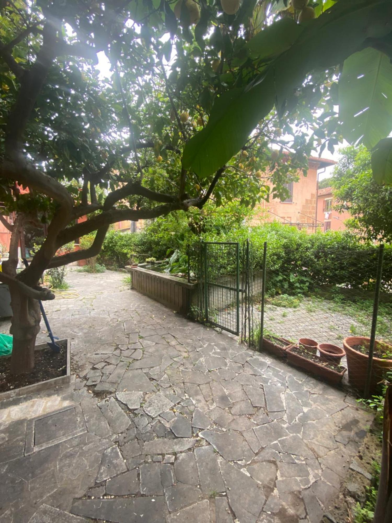 Garbata Rome
